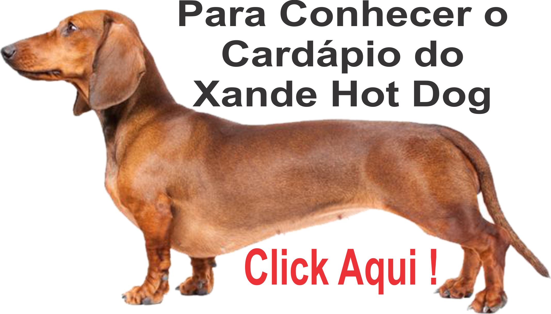 CLICK AQUI PARA CONHECER O CARDPIO DO XANDE O MELHOR CACHORRO QUENTE NO REBOUAS.