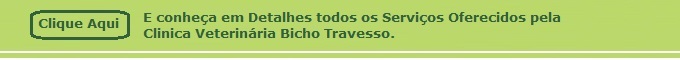 Banho e tosa de ces na cidade de Itapema.